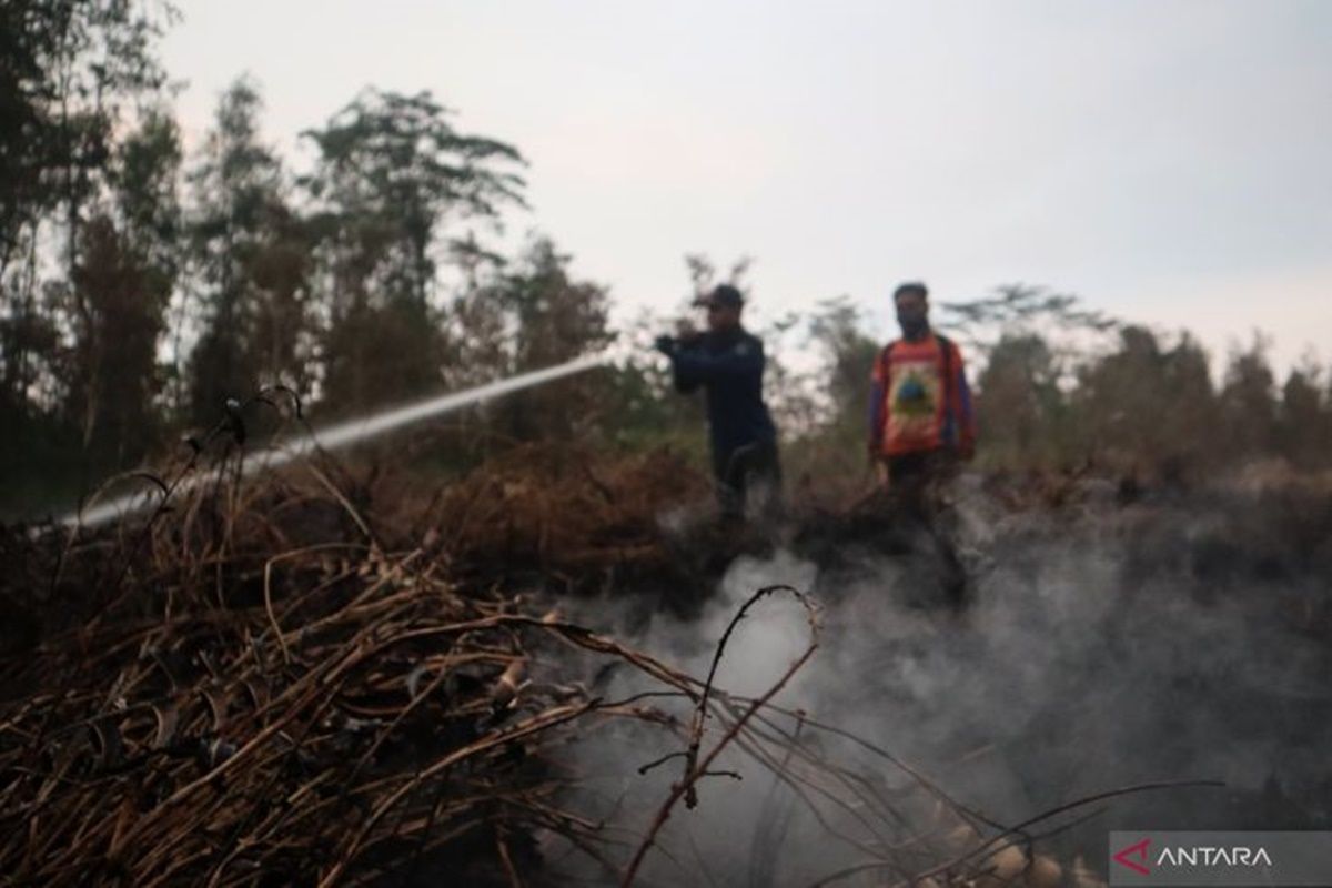 Area konservasi bekantan terdampak karhutla dibasahi BPBD Tapin