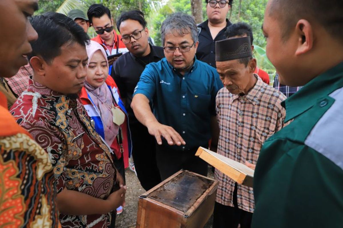 Kilang Cilacap berikan pelatihan budi daya lebah madu bagi warga huntara Karang Gintung