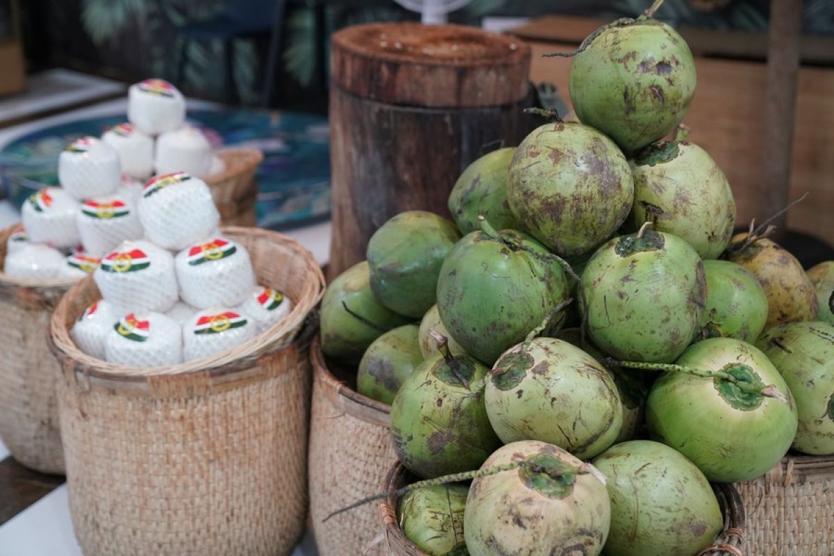 Buah kelapa kian populer di pasar China yang semakin meluas