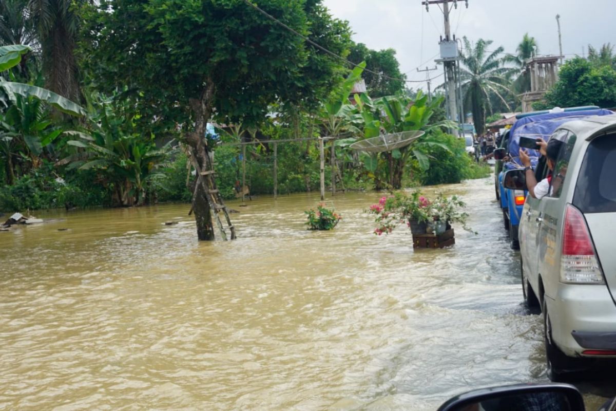 430 hektare lahan pertanian di empat kecamatan Pasaman Barat terdampak banjir pada Jumat