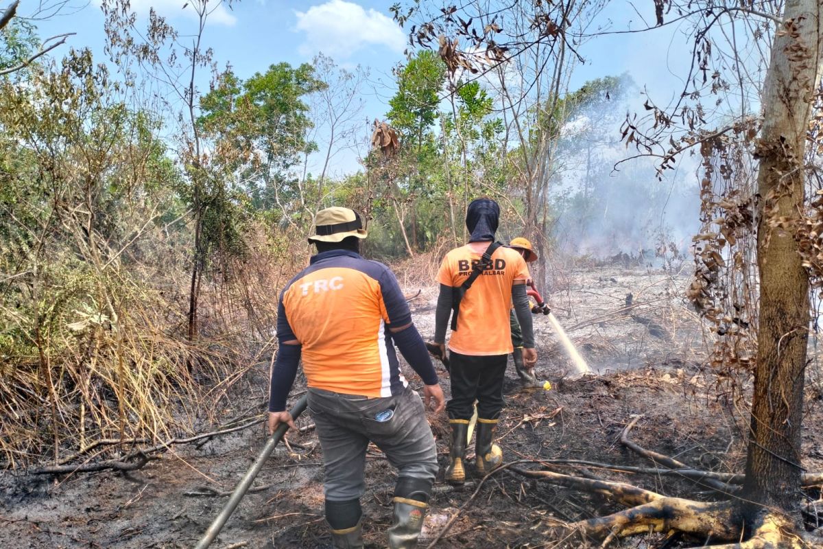 BPBD Kalbar kerahkan 60 personel padamkan karhutla di Kubu Raya