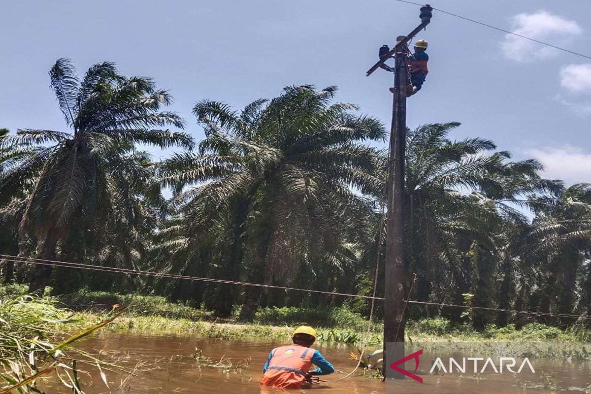 PLN Sumut pulihkan kelistrikan di Madina usai banjir dan longsor