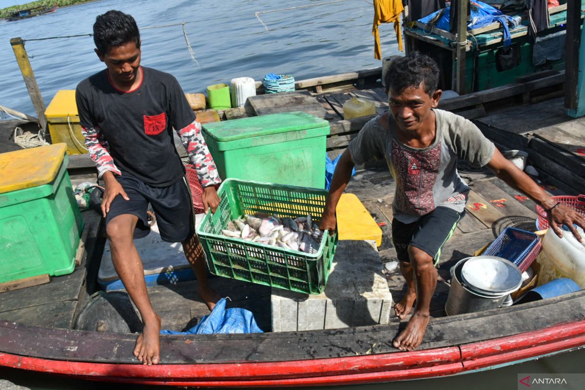 Ministry sets budget for strengthening illegal fishing surveillance