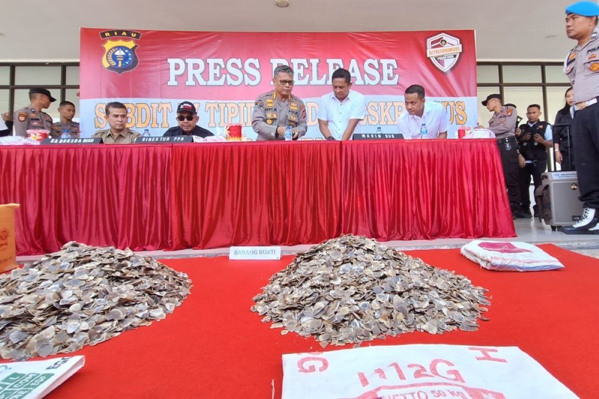 Polda-BBKSDA Riau ungkap kasus penjualan 41 kg kulit tenggiling