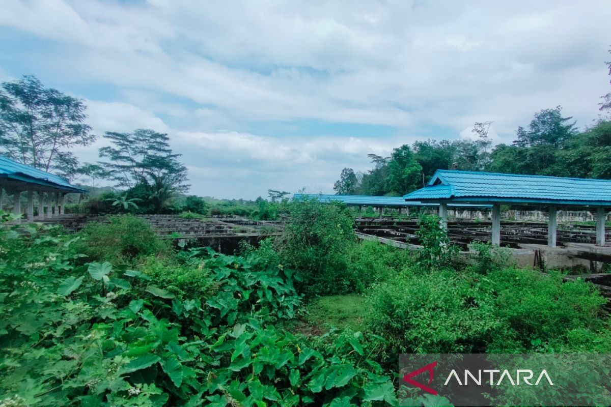 Rejang Lebong terima DAK bidang pertanian dan perikanan Rp8,1 miliar