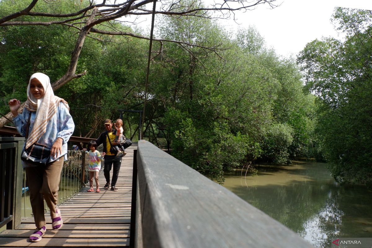 Jalan baru optimalisasi potensi mangrove Jakarta melalui ekonomi biru