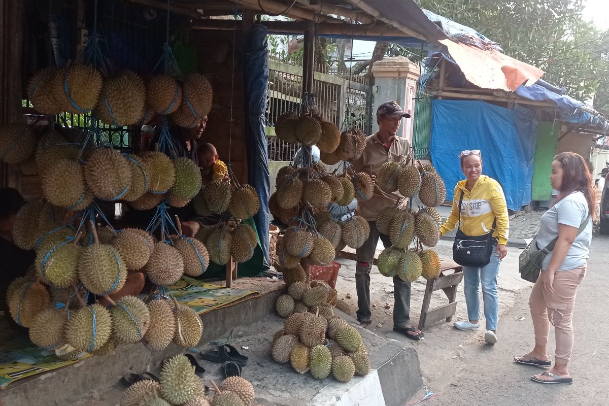 Panen durian di Lebak tumbuhkan ekonomi masyarakat