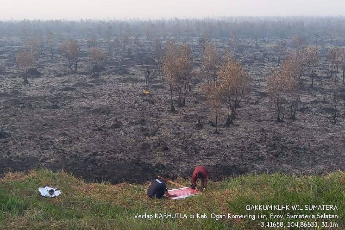 KLHK segel enam lokasi kebakaran hutan dan lahan di Sumatera Selatan