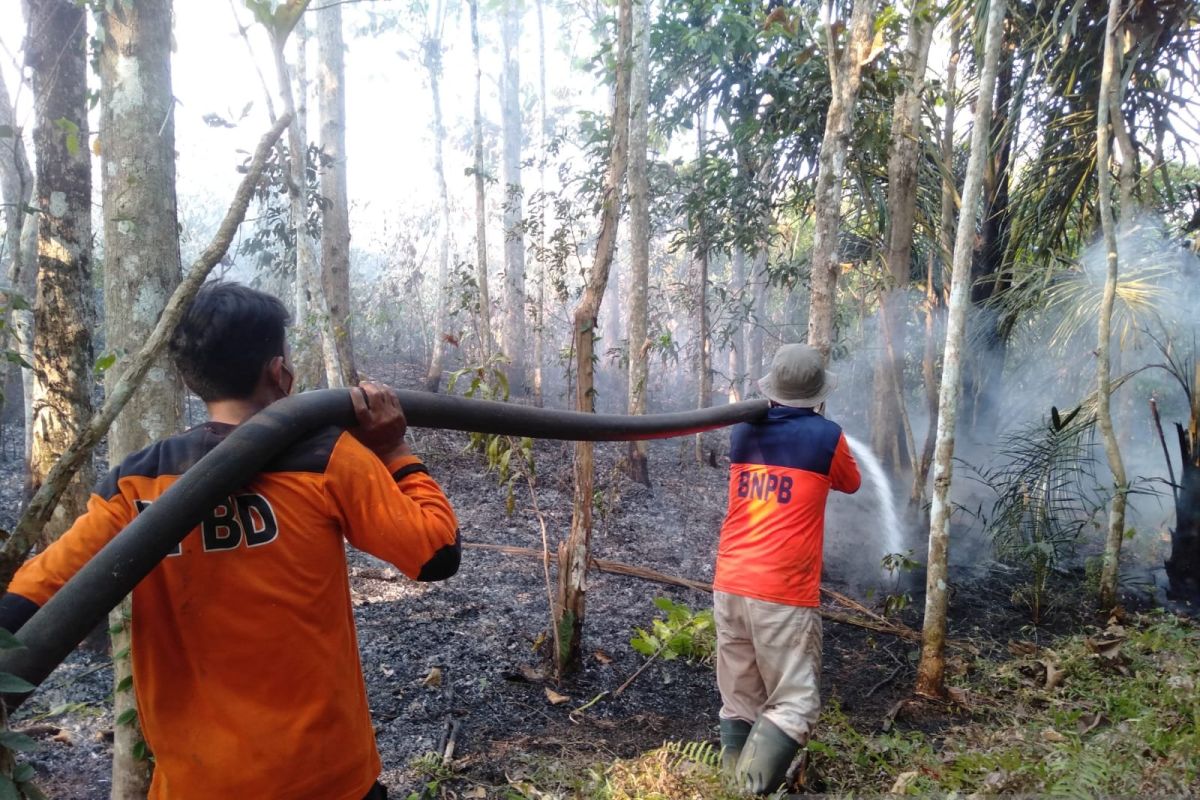 Karhutla 3 desa di Kabupaten OKU-Sumsel dipadamkan satgas BPBD