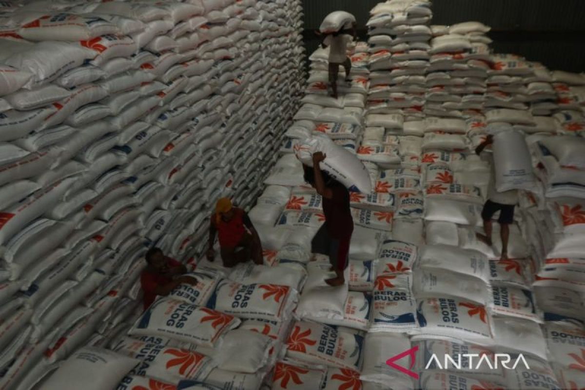 Bulog Cabang Banyuwangi terima beras impor 24.000 ton