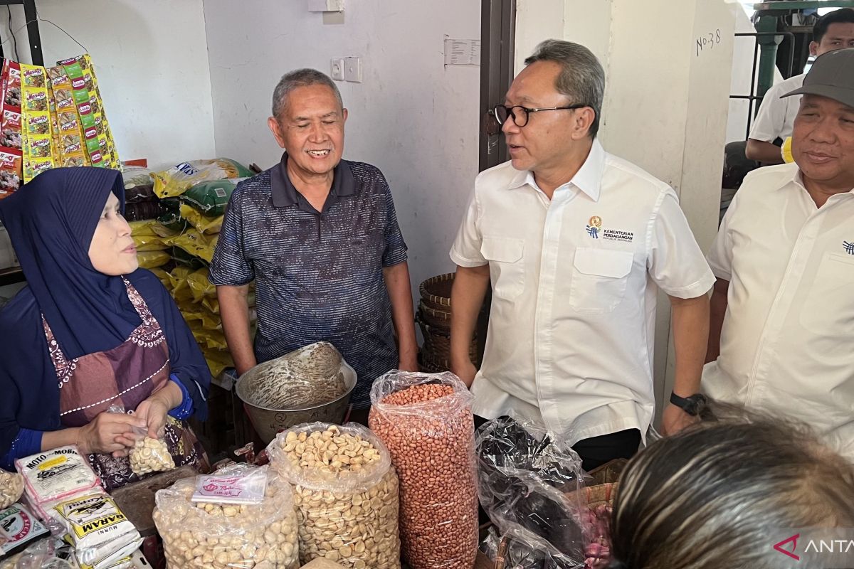 Mendag: Pemerintah terus berupaya stabilkan harga beras