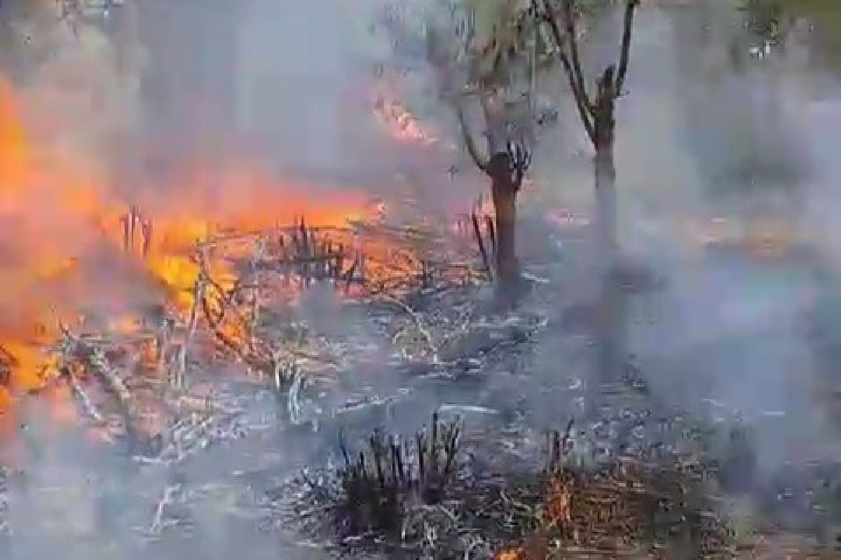 Polres Bondowoso tangkap pelaku diduga bakar hutan di Ijen