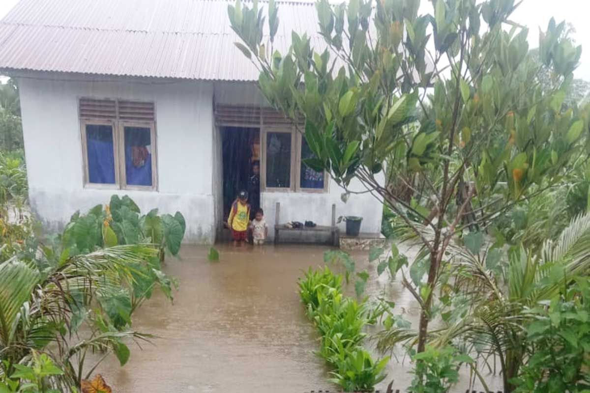 Puluhan rumah transmigrasi di Simeulue terendam banjir