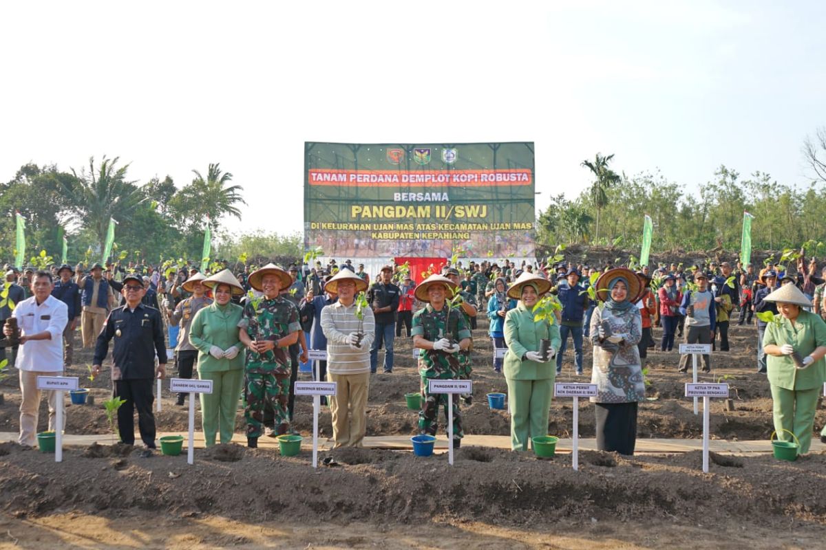 Pemda-TNI bersinergi tingkatkan produktivitas kopi Bengkulu