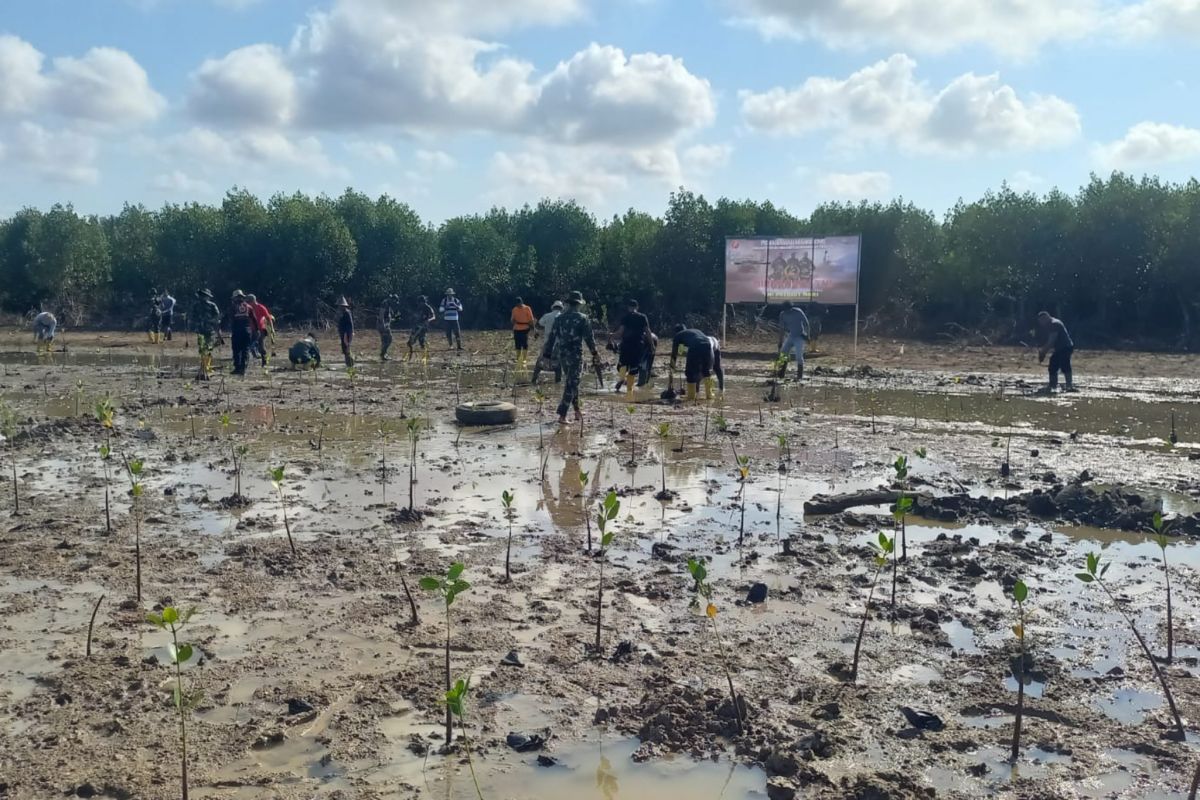 TNI Kodim 1620 tanam ratusan bibit pohon Mangrove di pesisir Lauk Lombok Tengah