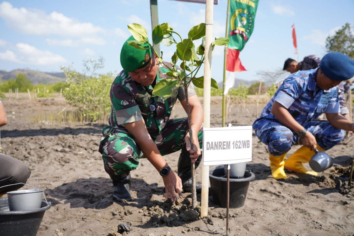 Korem Wira Bhakti menanam sebanyak 7.000 bibit mangrove di wilayah NTB