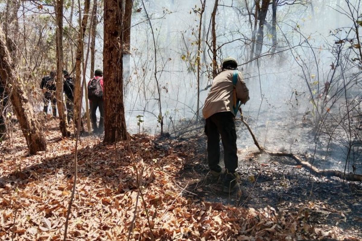 Taman Nasional Baluran ditutup untuk padamkan kebakaran