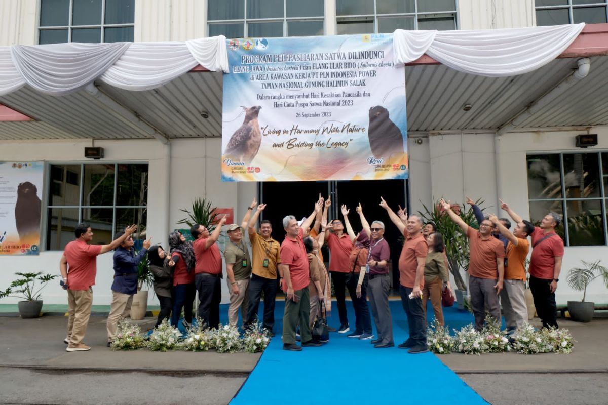 PLN Indonesia Power releases eagles to protect biodiversity