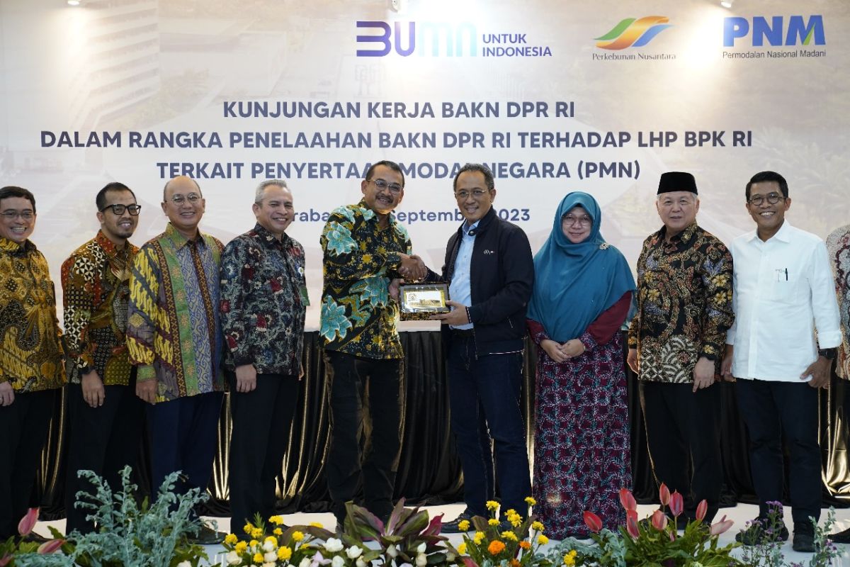 BAKN DPR telaah LHP BPK terkait PMN