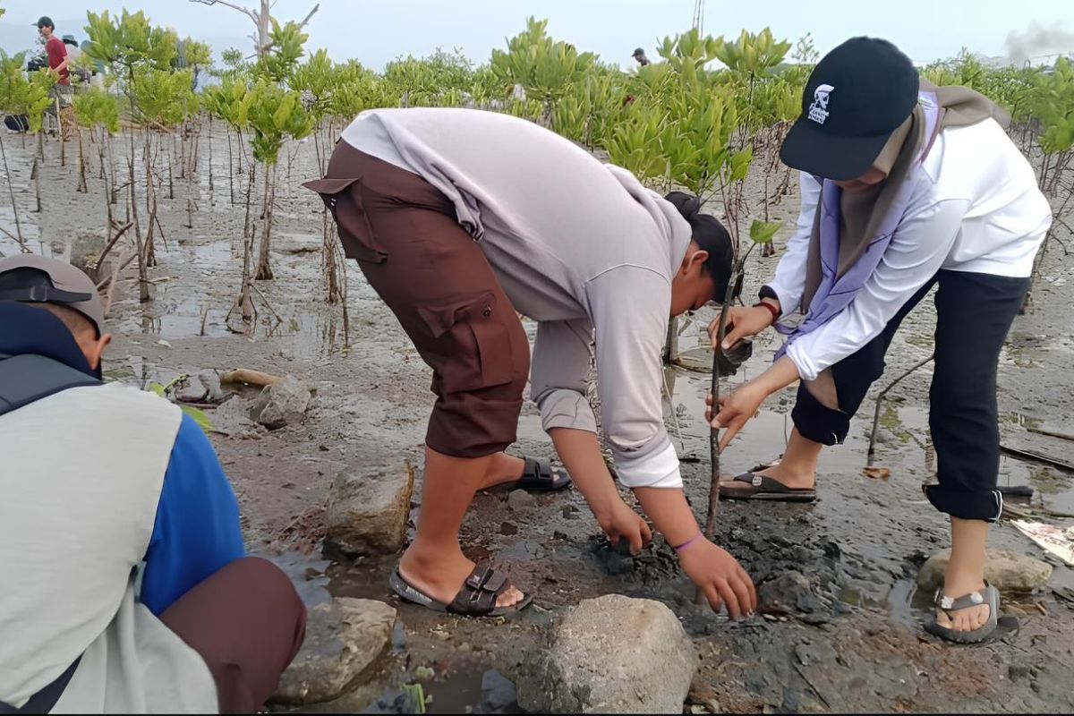 Working on making mangroves as pillar of blue economy's resilience