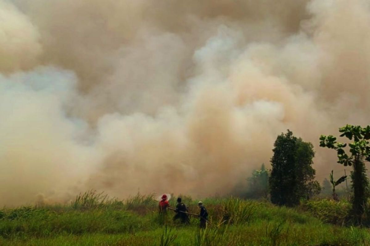 30 hektare lahan terbakar di Desa Sungai Rutas Tapin