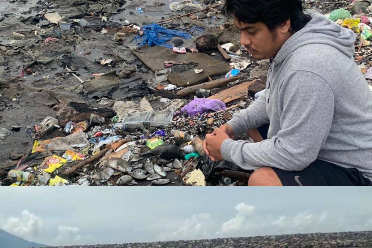 Pencemaran limbah organik sebabkan ribuan ikan mati di pesisir pantai Ternate