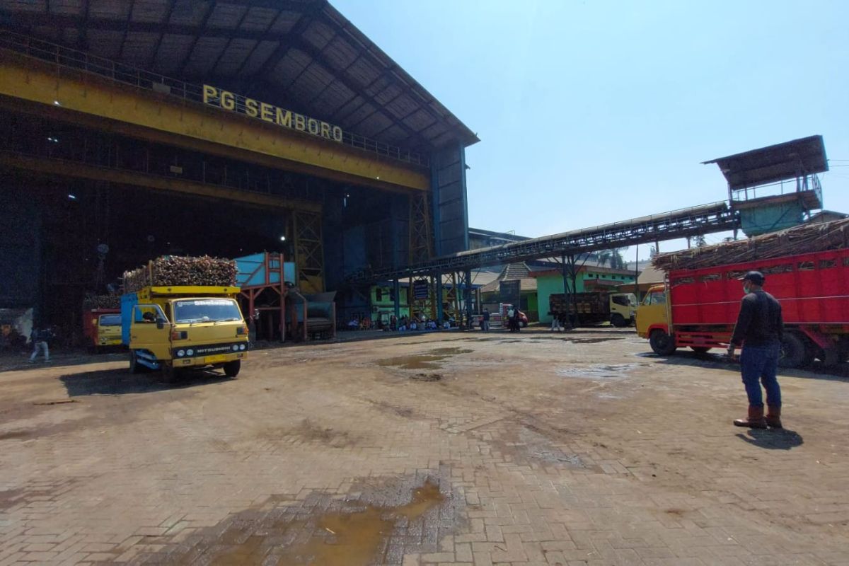 Produksi gula PG Semboro Jember capai 43,3 ribu ton selama musim giling 2023