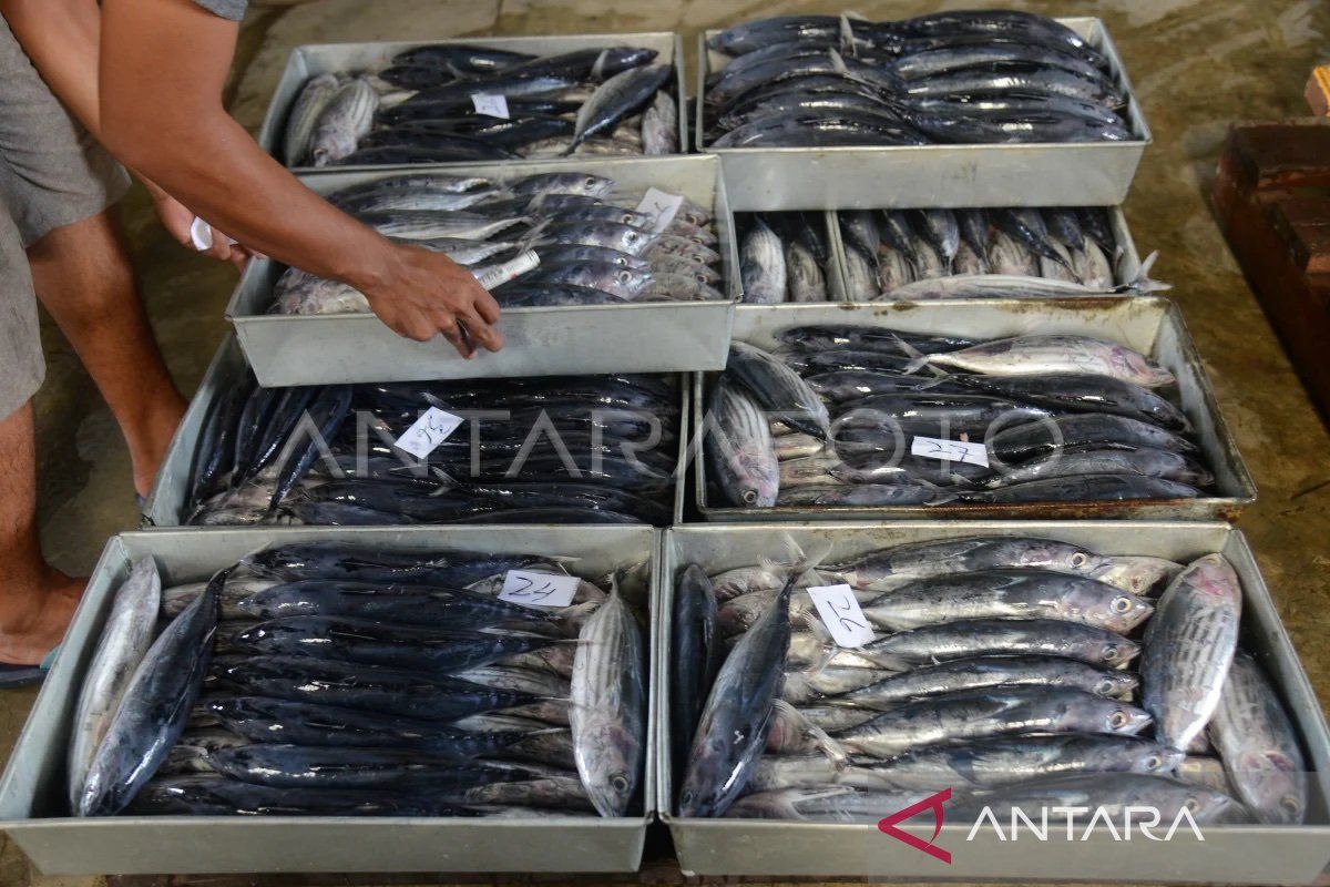 Akademisi nilai unit pengolahan produk ikan di Aceh masih terbatas