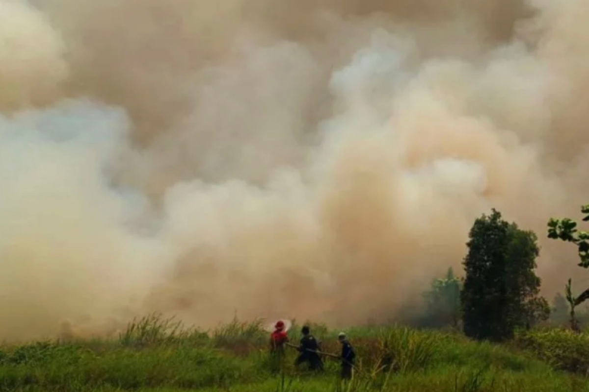 Tim gabungan padamkan kebakaran 30 hektare lahan di Tapin Kalsel