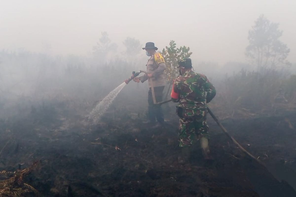 Tim gabungan padamkan kebakarna lahan di perbatasan Kota Palangka Raya-Pulpis