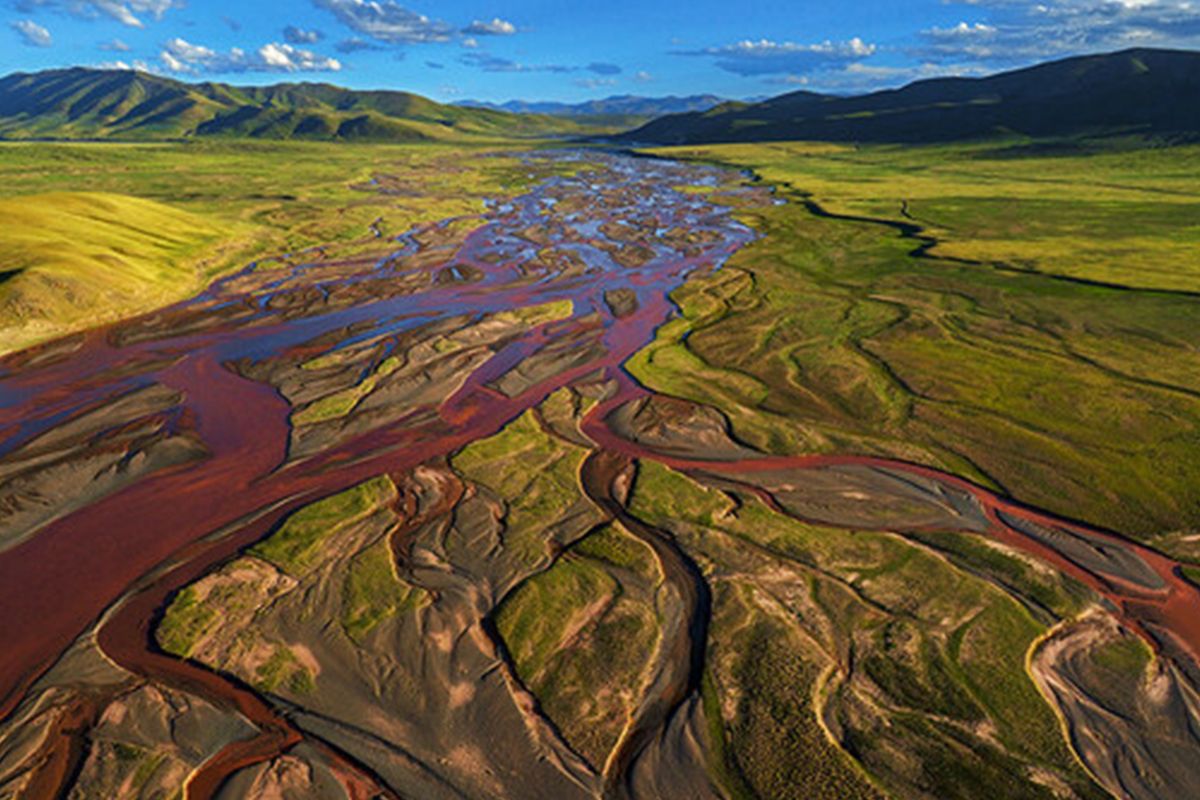 Perkembangan flora dan fauna jadi contoh terbaik dari program pelestarian alam di Qinghai