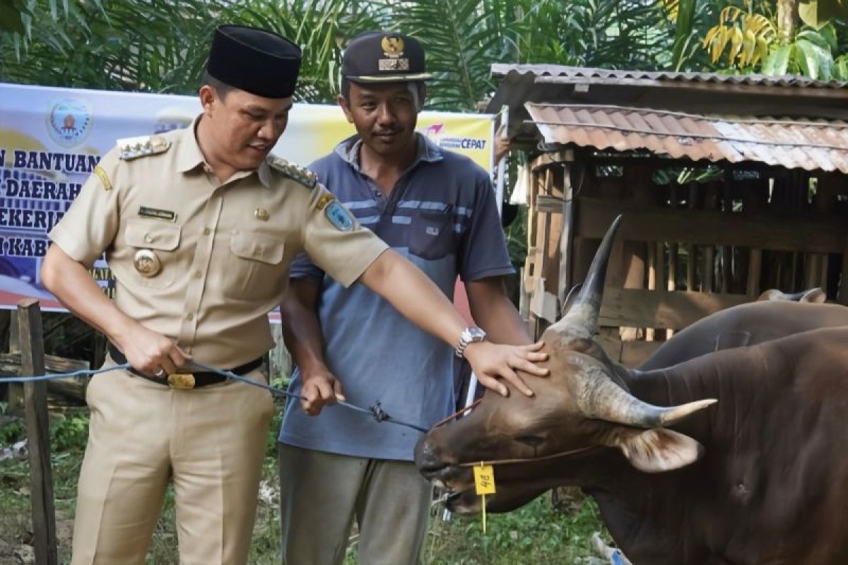 Sambut Idul Adha, Bupati Lamandau serahkan hewan kurban untuk masyarakat