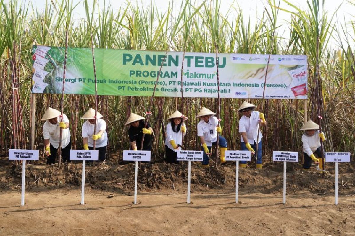 Program Makmur mampu tingkatkan produktivitas petani