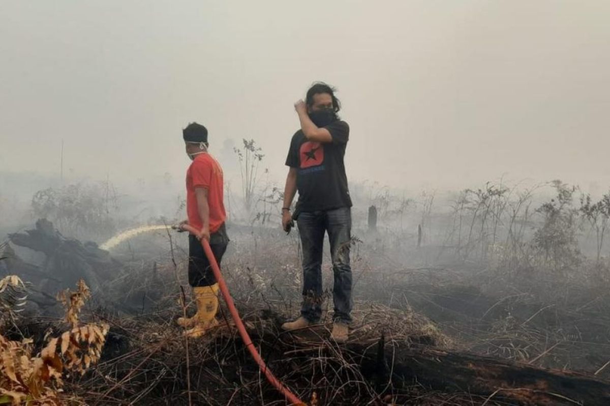 Kawasan hutan dan lahan terbakar di Jambi mencapai 335 hektar