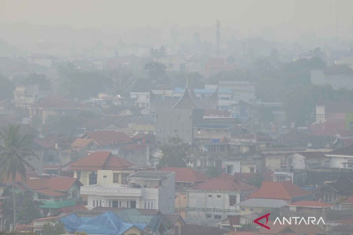 Riau mulai diselimuti kabut asap, ini keterangan BMKG