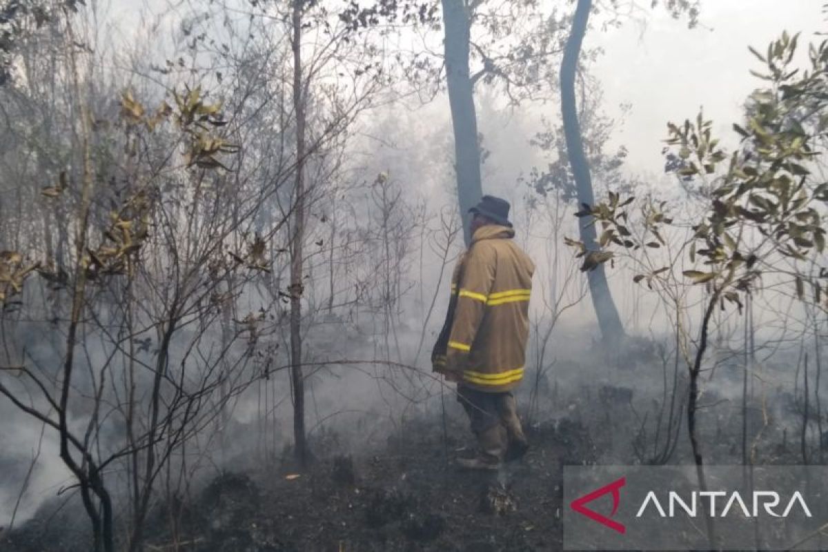 Damkar Belitung berhasil padamkan kebakaran hutan seluas 10 hektare