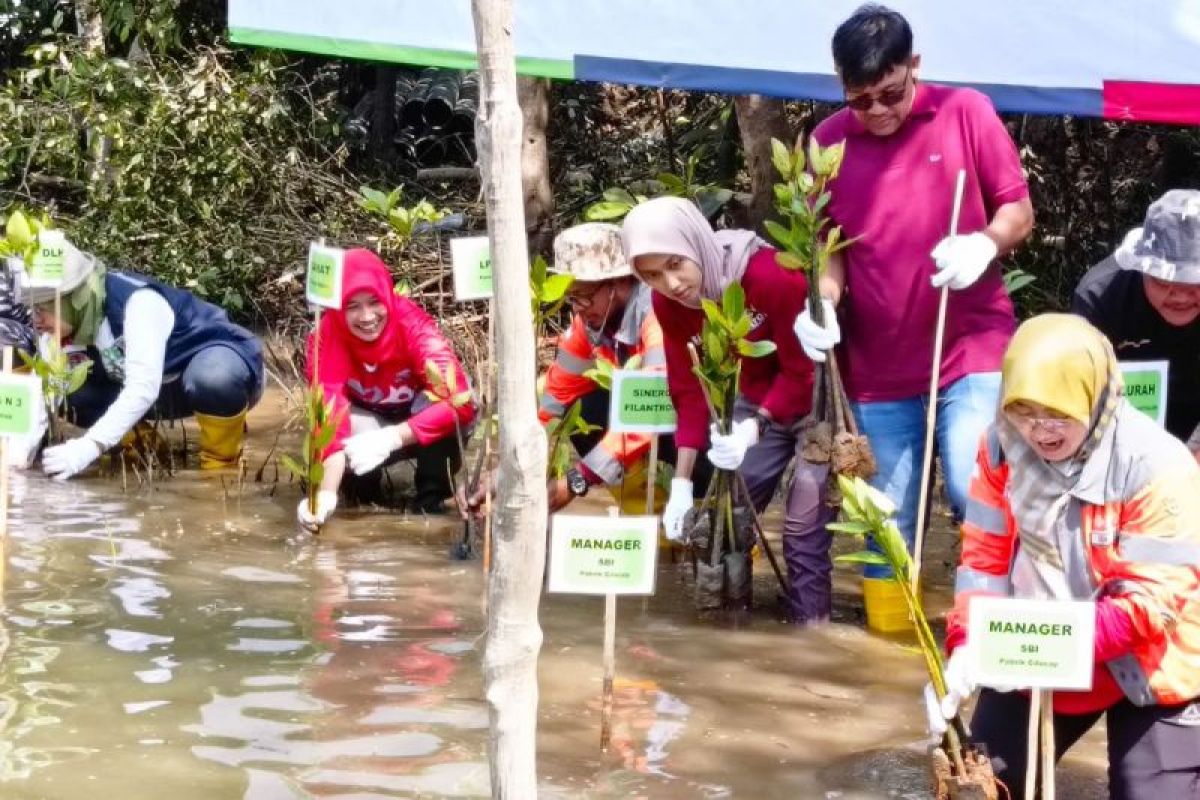 SBI rintis eduwisata alam mangrove terintegrasi di Cilacap