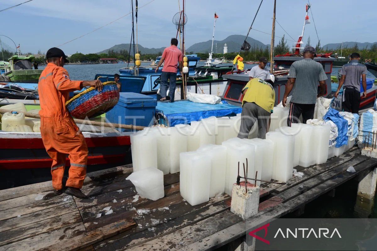 Pemerintah perlu optimalkan penggunaan cold storage ikan di Aceh