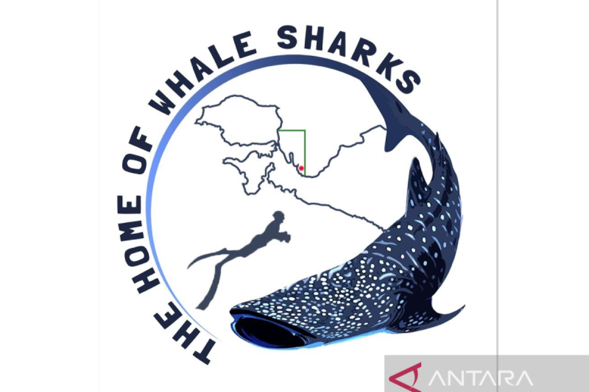 "Whale Shark Center" dan kolaborasi perlindungan ikan hiu paus