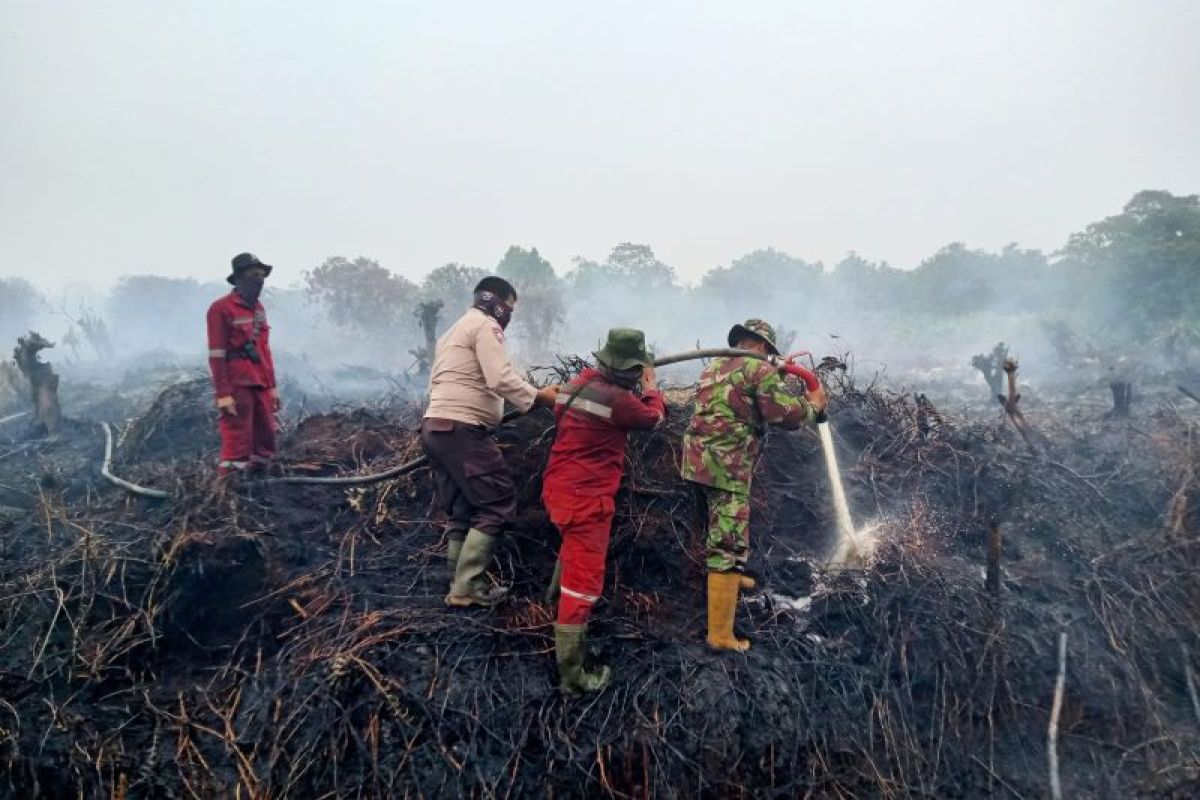 4 hektare lahan gambut di Kampar terbakar