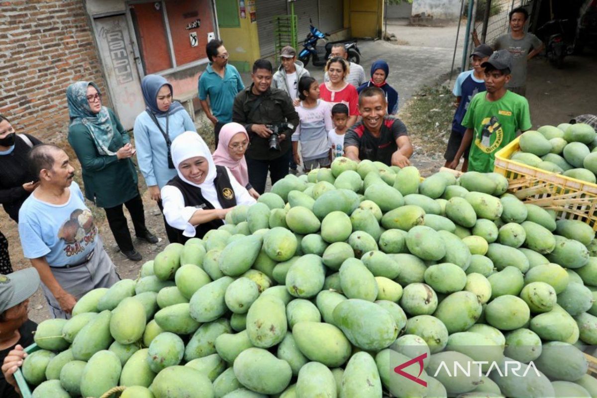 Khofifah: Olahan mangga beri nilai plus bagi petani