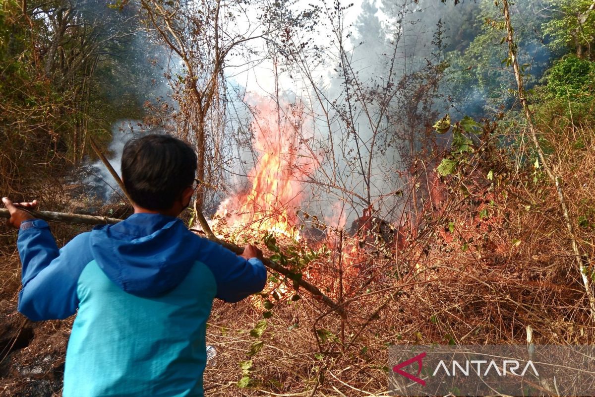 Peak of dry season sparking land, forest fires: Minister