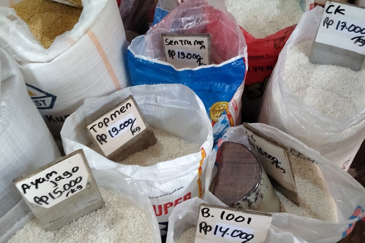 Akademisi : Bulog kawal ketersediaan beras untuk kendalikan inflasi