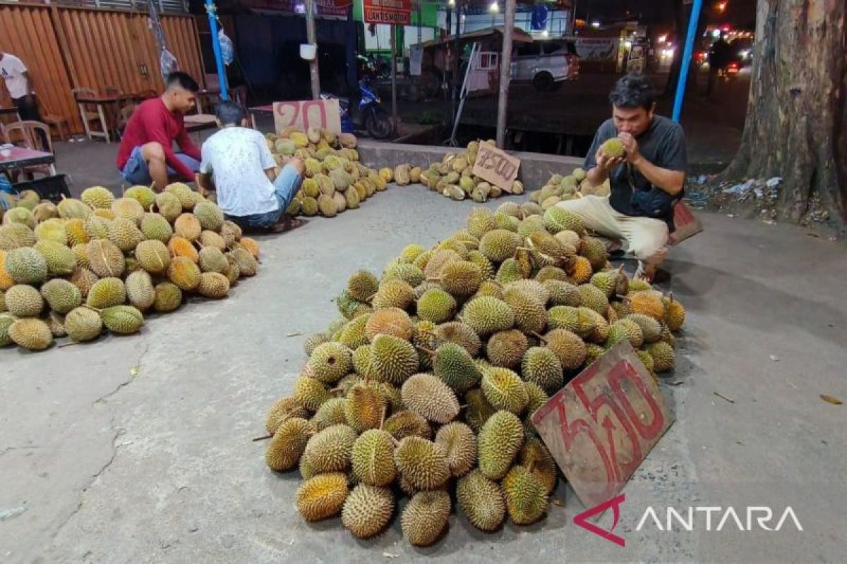 Kalbar masuki puncak musim buah durian dari penjuru daerah