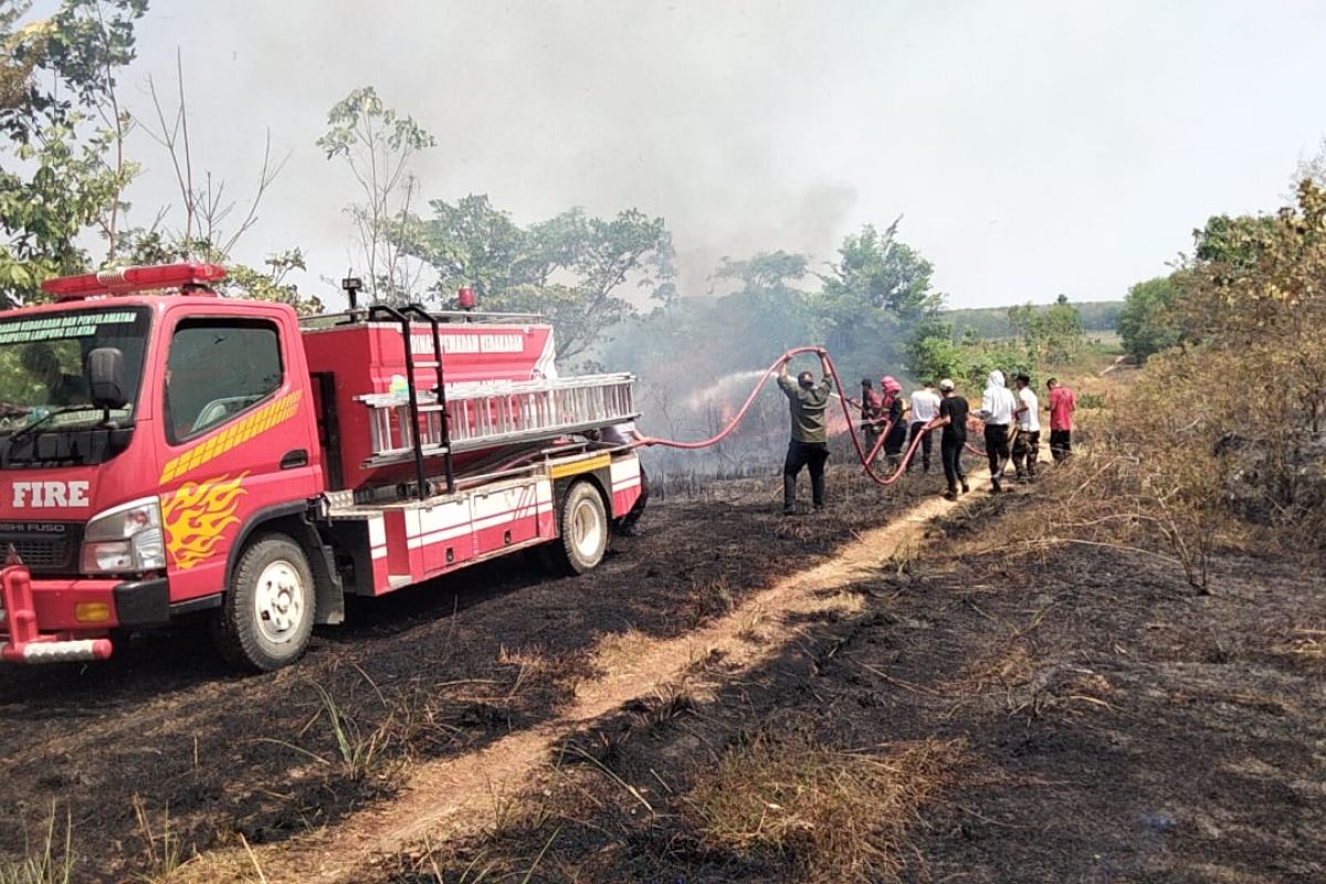 Damkar Lampung Selatan tangani tiga lokasi karhutla seluas 15 hektar
