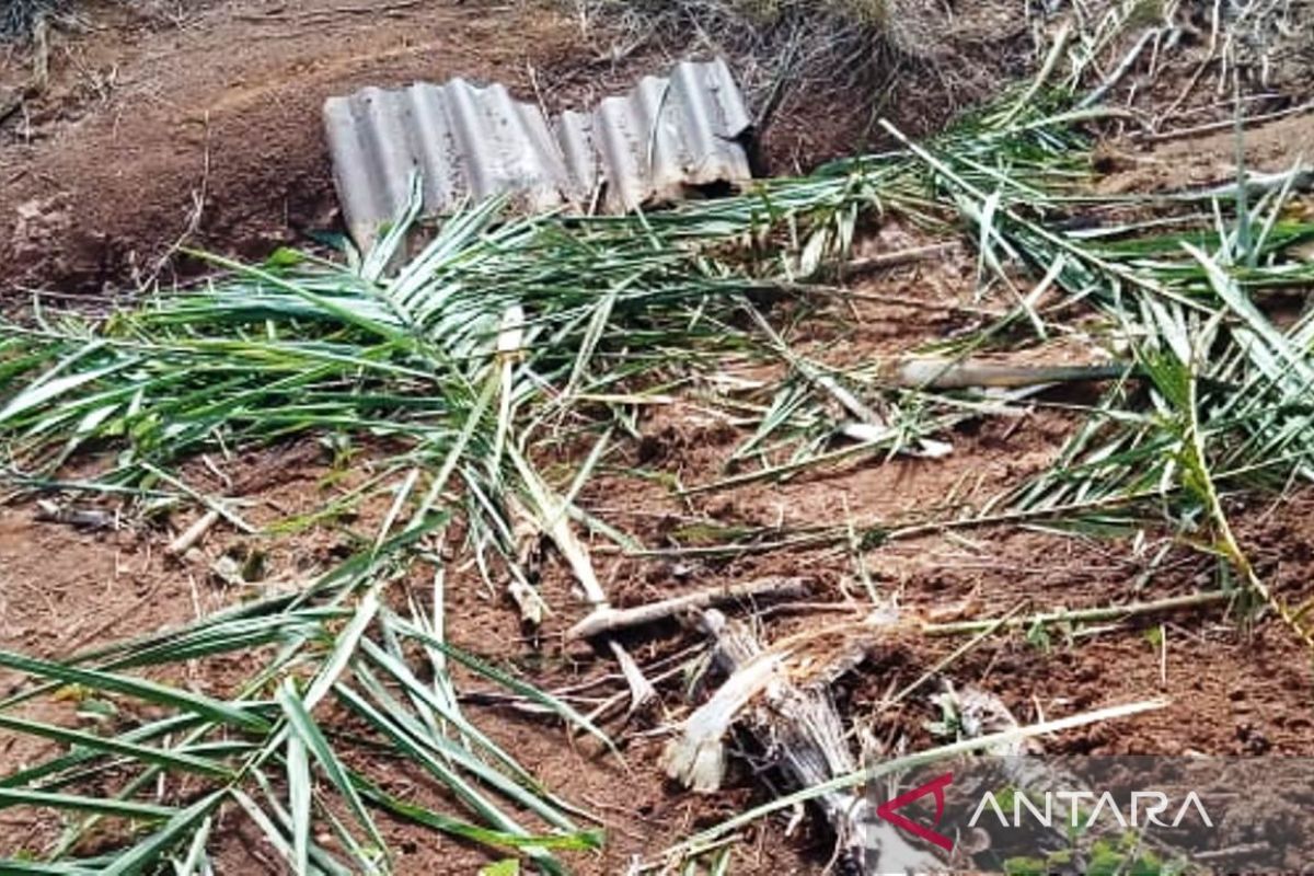 Aceh Barat catat kerusakan kebun sawit akibat diamuk gajah
