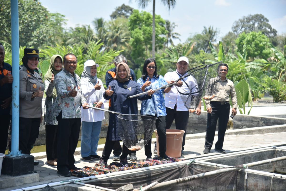 Dinas Pertanian Sleman luncurkan inovasi budi daya ikan "Silamanda"