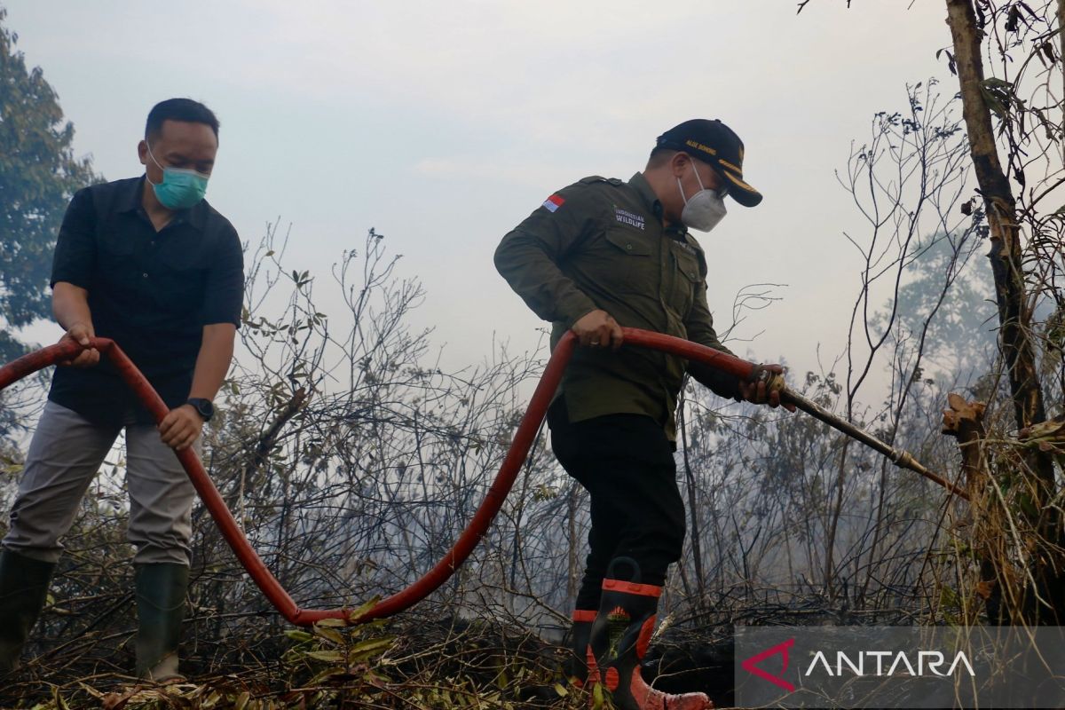 Wamen LHK ikut padamkan kebakaran gambut di area hutan lindung di Kalimantan Selatan