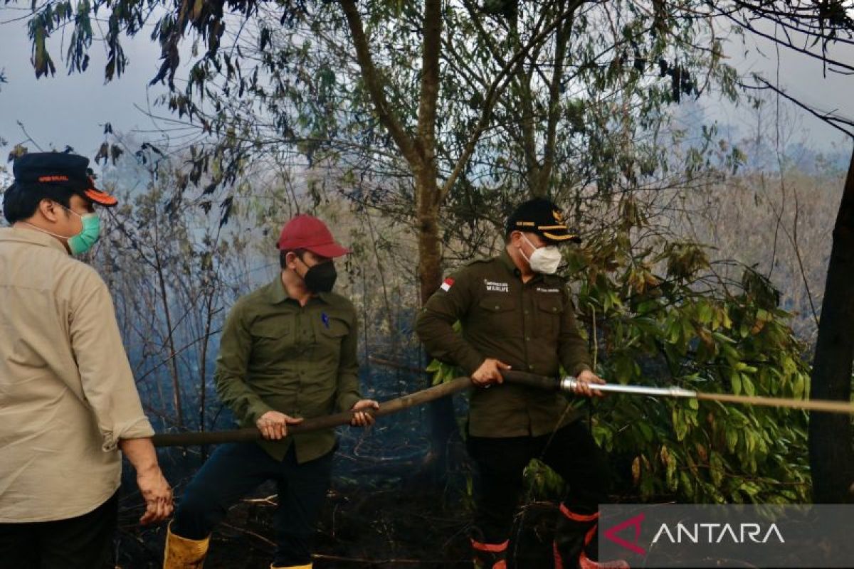 Karhutla gambut Kalsel harus digenangi air agar padam