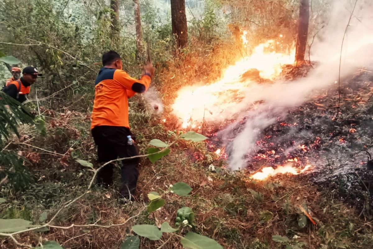 BPBD Jatim terjunkan tim pemadam jalur darat atasi karhutla Gunung Lawu